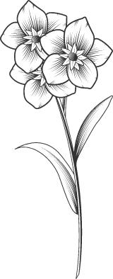 Stemmed Flower Trio 02