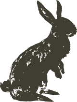 Hopping Shadow Bunny