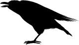 Cawing Raven