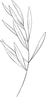 Stemmed Pointy Leaves