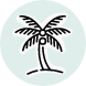 Basic Coconut Palm