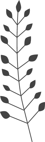 Nordic Pine Branch