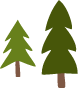Two Pine Trees