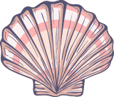 Marine Scallop Shell