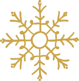 Branched Snowflake