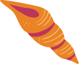 Spiral Shell