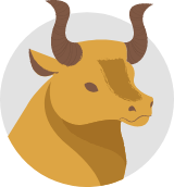 Taurus Bull