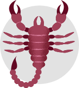 Scorpio Scorpion