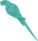 Macaw Parrot